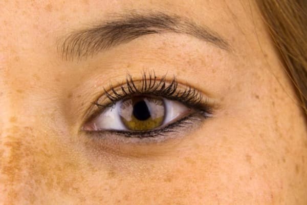 Close up of a woman's eye, lash and brow tints